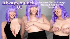 Always A Cuck JOI - Always Cucked and Never Fucked But Still More of a Sex Life Then You Had before! - Cuckolding, Jerk Off Instruction, Humiliation, Female Domination, Femdom with Mistress Mystique Hoops - MP4