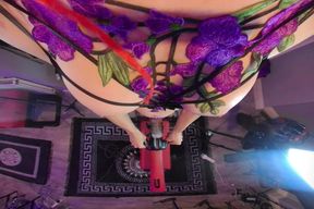 Jasmine_dlight - POV Futa Fleshlight Fucking - Looking Down Big Boobs and Huge Cock Vr180