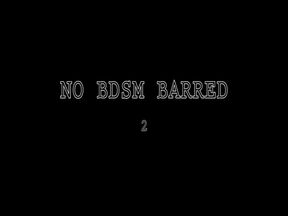 No BDSM Barred 2
