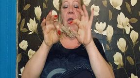 From robber to goose WMV