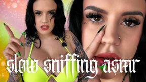 Slow Sniffing ASMR: Whispering Mental Domination Femdom POV Ft Miss Roper
