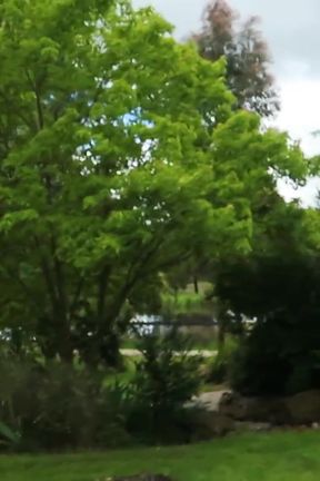 Behind the Scenes of Homeward Bound Featuring Charlie Forde, Laney Day, Finley Kay, Leo Embers, Caleb Arcane, Mishel Karen