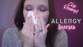 Allergy Sneezes 720 MP4