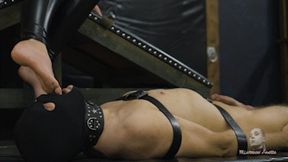 Lick filthy mixture from her soles FHD MP4