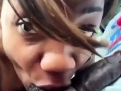 FINE NUT SWALLOWER
