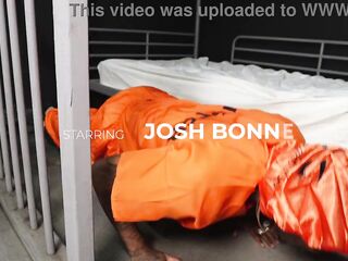 Concupiscent Ebony Lawyer Desires To Bang!