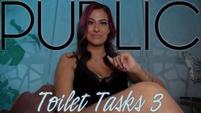 “Public Toilet Tasks 3” [TOILET TASKS]