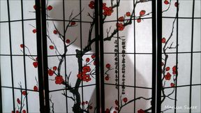 Silhouette Tease / Ball Domination