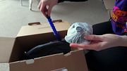 Fast-Feed Dildo Leaves Her Spasming Hard