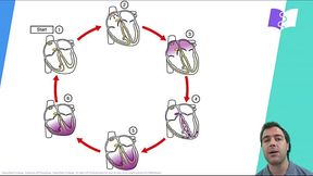 INERVA&Ccedil_&Atilde_O CARDIACA TRAI MARIDO SAFADA