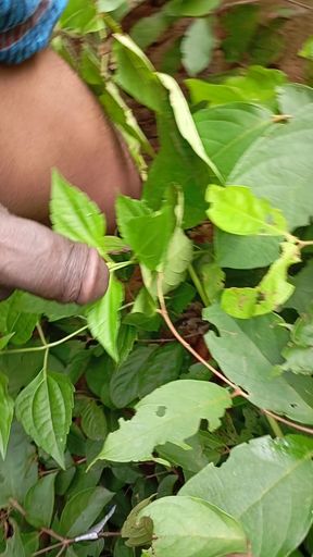 Today new sexy video