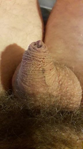 smallest cock