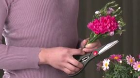 Rina Yoshitaka's First Time Unfaithful Shot Revealed! Must-See Documentary