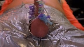 Mistress TIRZA make this CBT with piercings to show you can make Art out of Dick CBT