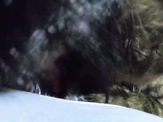 Fur Surprise POV – Deepthroat, Leather Gloves, Spit and Cum Licking