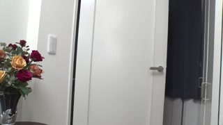 【無】サークルの飲み会で乱交NTR ～楽しく５Pで中出しポンポーン～ 岡本理依奈 パート2