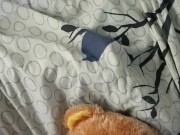 fucking a teddybear