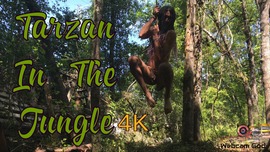 Tarzan In The Jungle (4K)