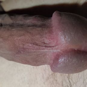 Shaved Cock CUMS!