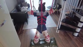 Mz31 - a Girl Tied and Suspended by a Red Rope Reaches Orgasm.