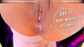 day 11 wife breeding attempt - sexygamingcouple
