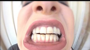 My mouth tour internal