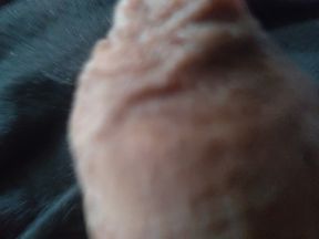 Do you want to suck my monumental penis?