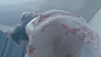 The Garden of Blushes