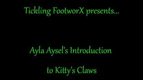 Ayla Aysels Introduction to Kittys Claws