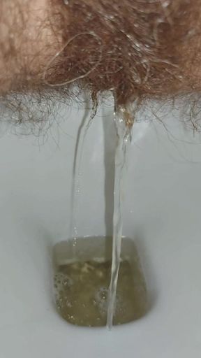 Woman Pissing in the Toilet, Golden Shower, Hairy Pussy Pee
