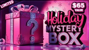 Holiday Mystery Box One: $65 Value