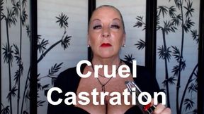 Cruel Castration Goddess Natasha HD (WMV)