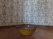 Compilation of pissing, a full day in a bowl!