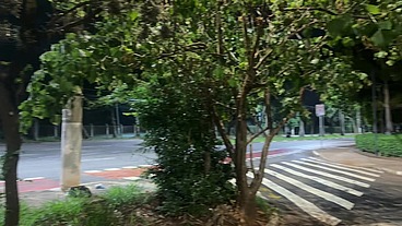 Voltamos da balada e o tesão foi maior! Paramos no parque e fodemos em um quiosque com os carros passando e buzinando...