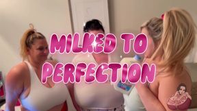 Milked to Perfection