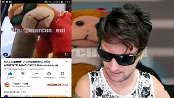 Macaquinho severino react