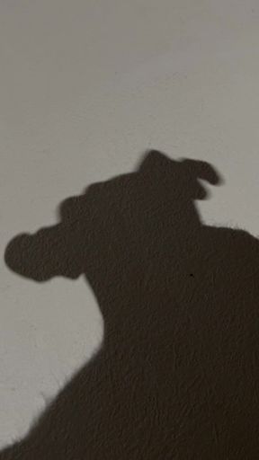 Shadowplay Cumshot