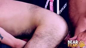 BEARFILMS Hairy Bear Rex Hunter Barebacked By Scotty Rage