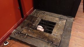 straightjacketed in a very secure underground box! i was very keen as usual, and a bit giggly, and sinister had some fun manh...