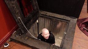 straightjacketed in a very secure underground box! i was very keen as usual, and a bit giggly, and sinister had some fun manh...