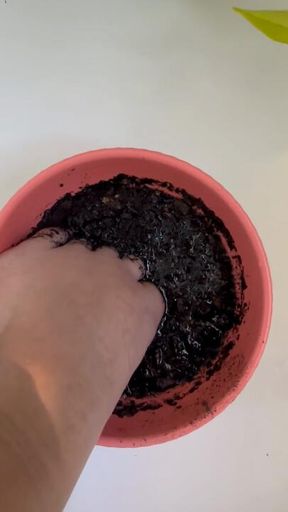 Toes playing in the mud