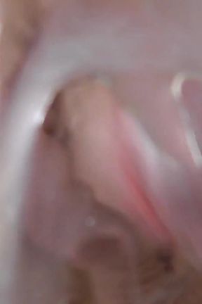 Cum in My Cuckold Loser's Fucking Face!