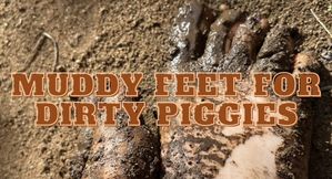 Muddy Feet For Dirty Piggies