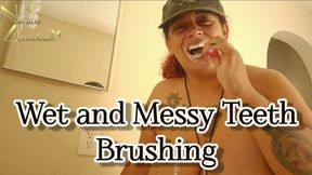 Wet and Messy Teeth Brushing Fetish 4k