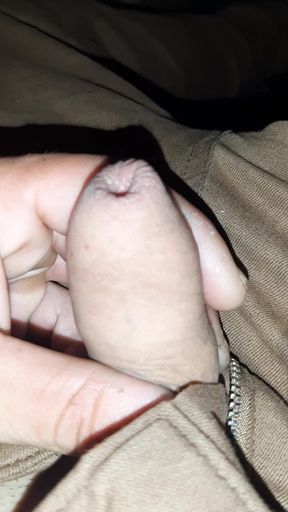 Palav