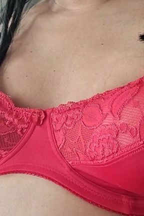 D Cup Red Lace Big Bra