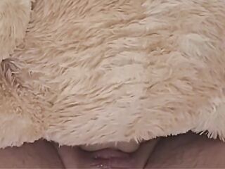 Breeding my Teddy Bear
