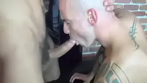 Homosexual Darkalley Hung Breeders