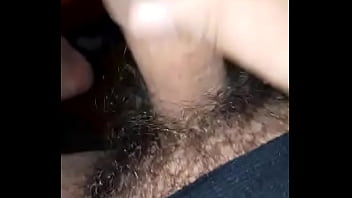 Pajote lechero