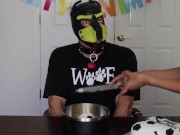 Puppy get a bone cake for their Birthday